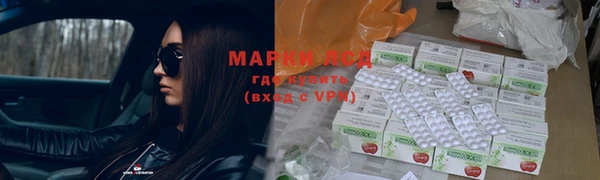 ECSTASY Белокуриха