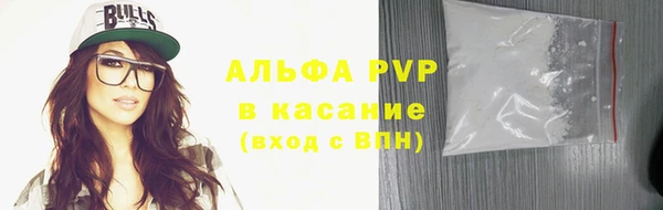 ECSTASY Белокуриха