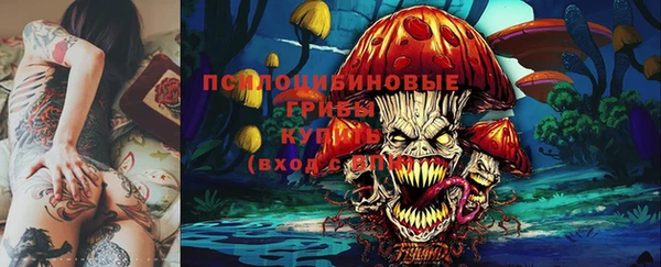 PSILOCYBIN Пролетарск