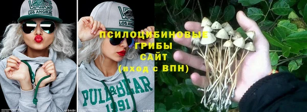 ECSTASY Белокуриха