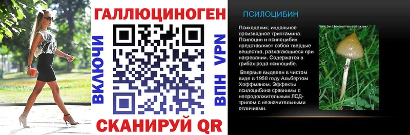 Галлюциногенные грибы прущие грибы Волгореченск