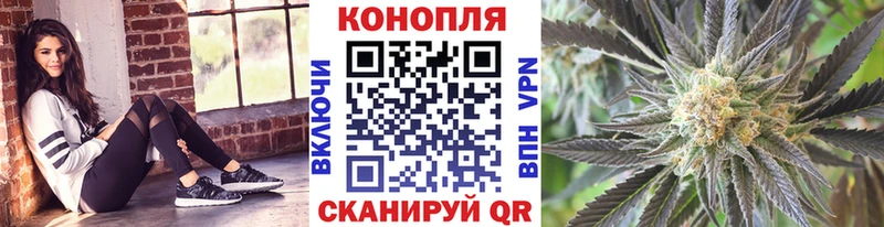 наркота  Волгореченск  Каннабис планчик 